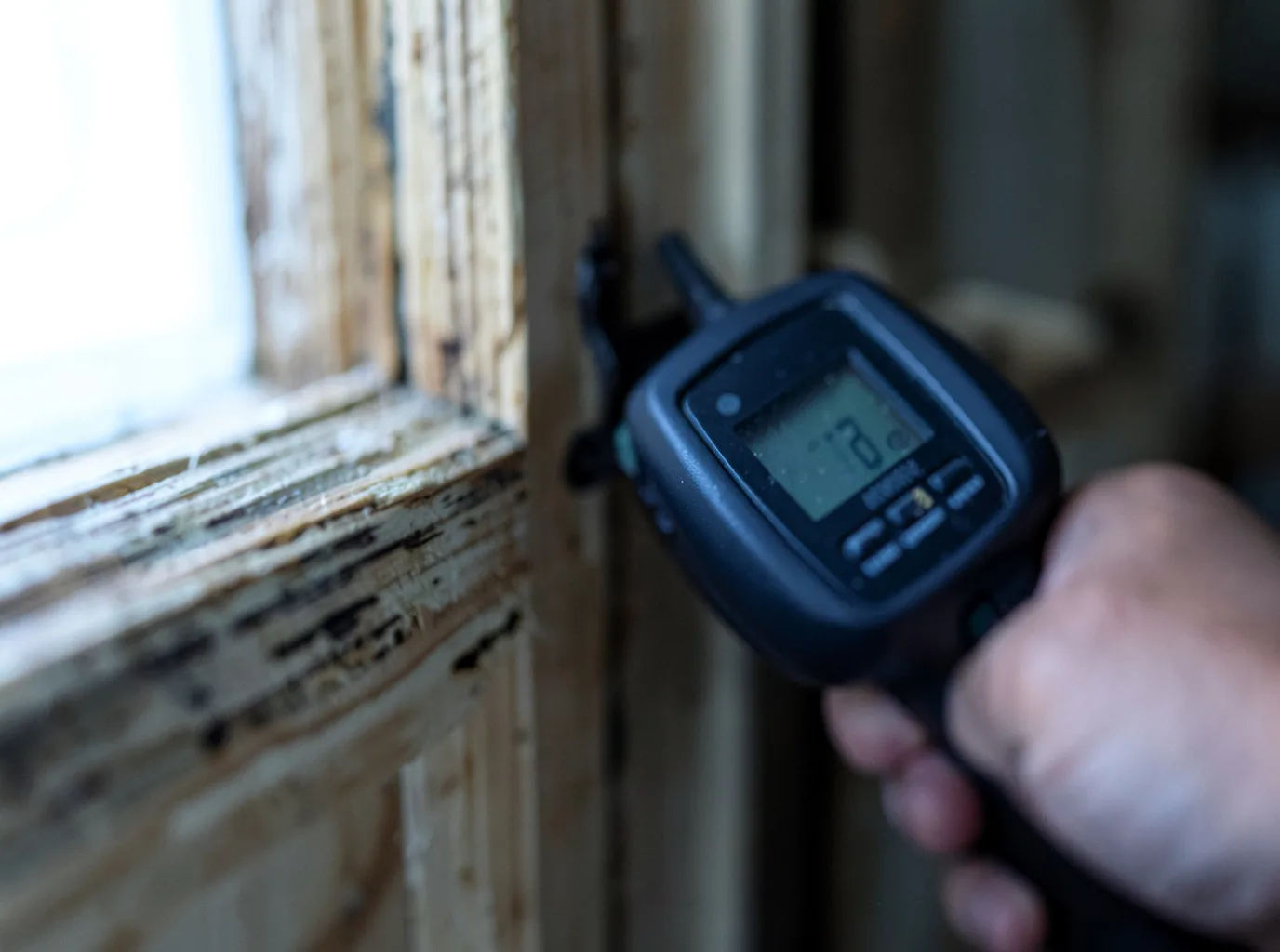 Moisture Inspection And Documentation in Wind Ridge, PA